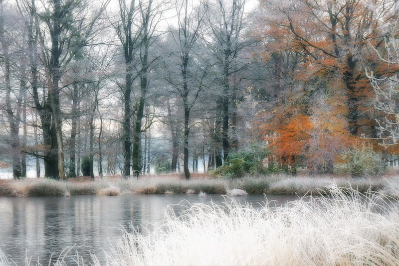 Mooiste Plekje Dwingelderveld Betsy Koning