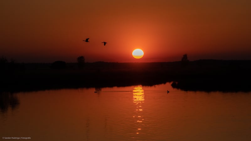 Mooiste Plekje Dwingelderveld Kraloo Sander Huizinga