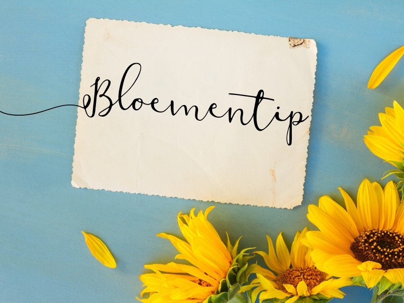 Bloementips van Ben