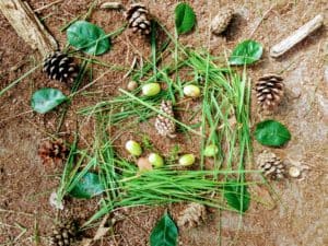 Kinderyoga in de natuur, mandala maken.