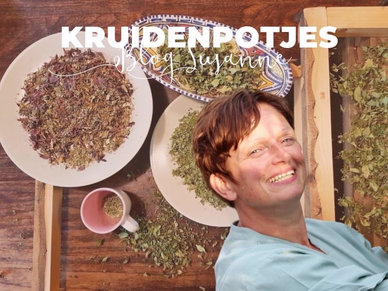 Blog Susanne Hurenkamp Kruidenpotjes
