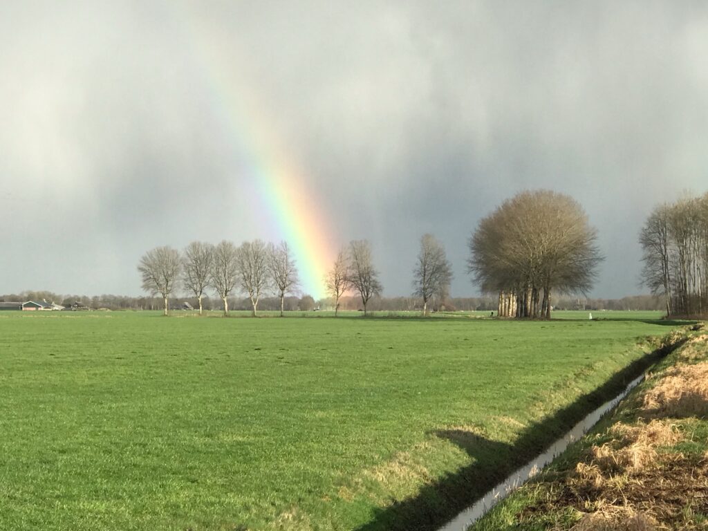 De Dikte Mooiste plekje Annie Dekker