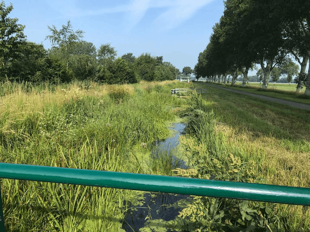 de Koningsschut het mooiste plekje