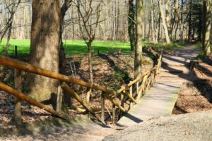 bruggetje in het Sterrebos