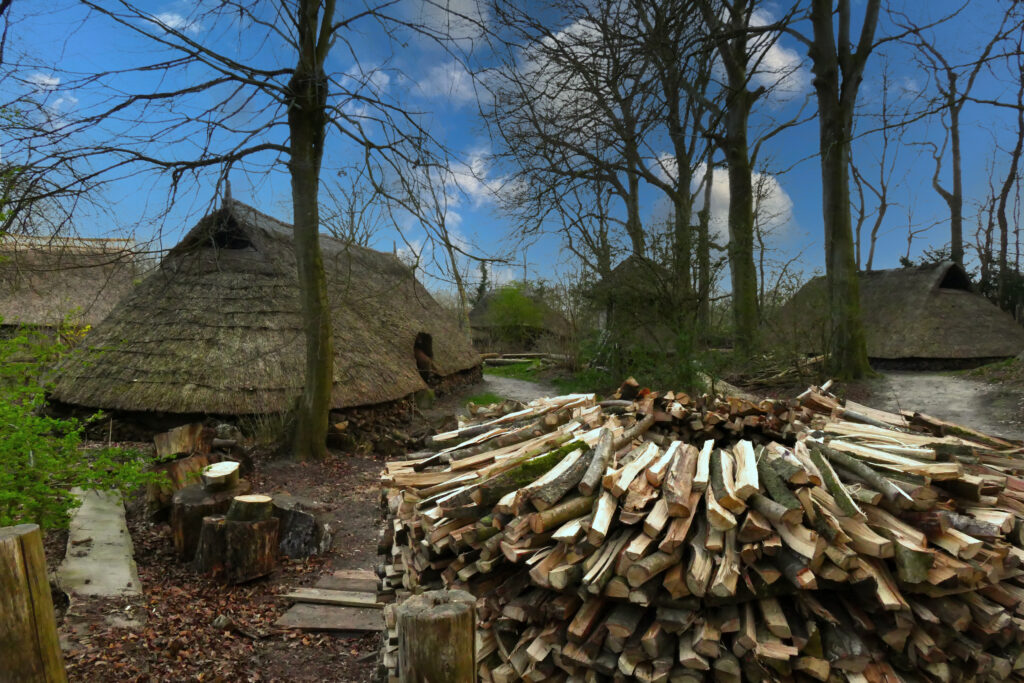 prehistorisch dorp Wilhelminaoord