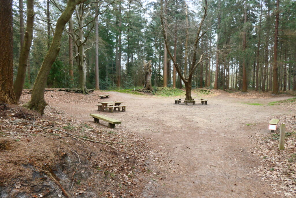 De Droge Kom in het Sterrebos