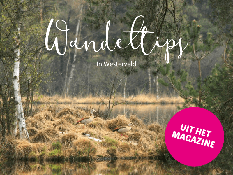 Wandeltips