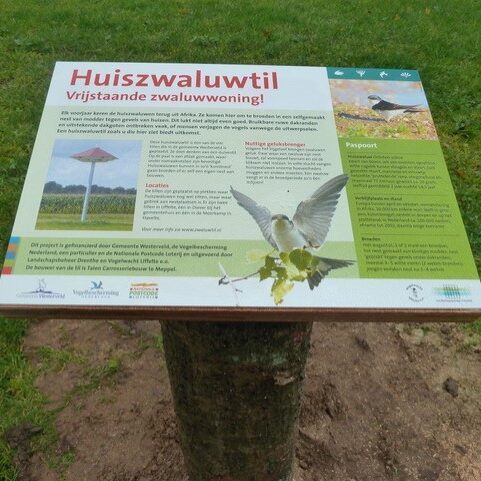 huiszwaluwtil vogelwacht uffelte