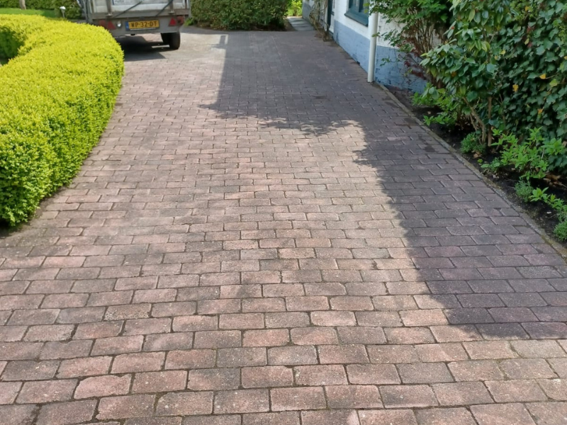 Bert Kruijer Bos en Tuinonderhoud