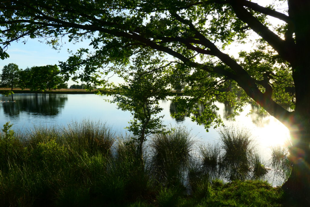 De Kibbelhoekwandeling