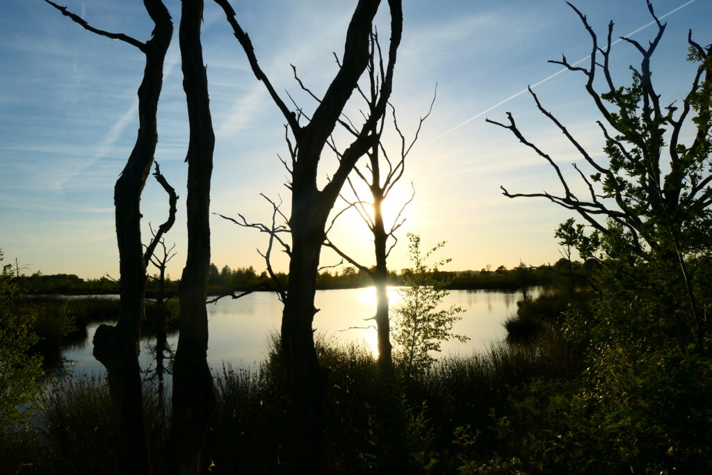 De Kibbelhoekwandeling