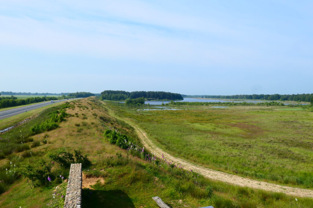 rondje dwingelderveld