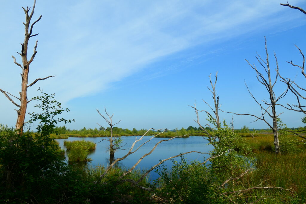 De Kibbelhoekwandeling