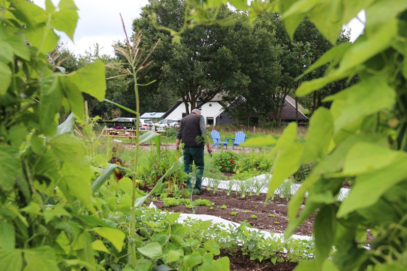 Sociale voedseltuin De Pluimerije