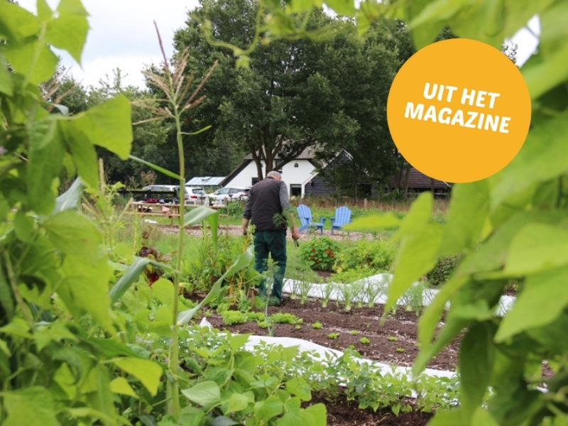 Voedseltuin De Pluimerije