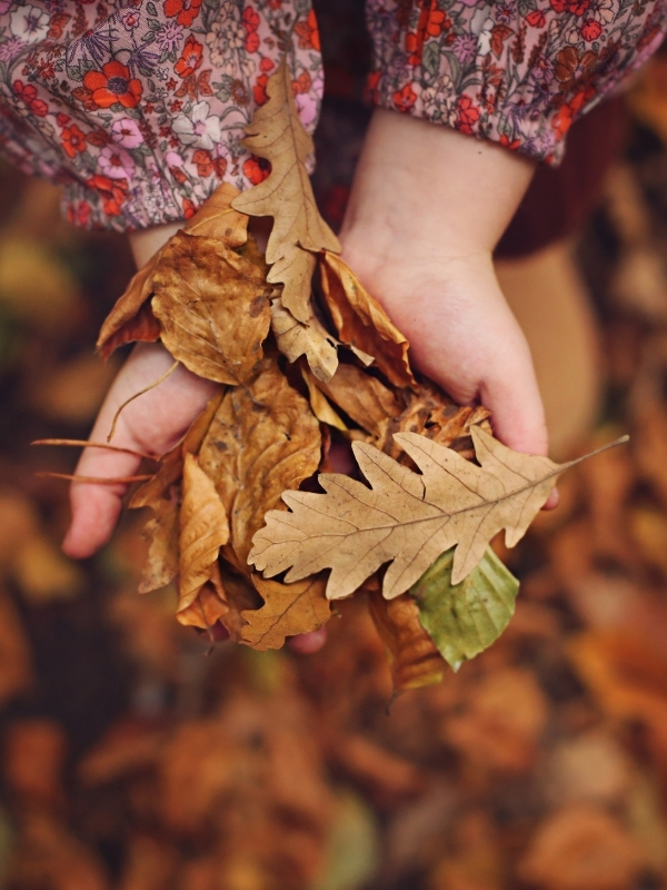 Herfst zintuigenspel Horen