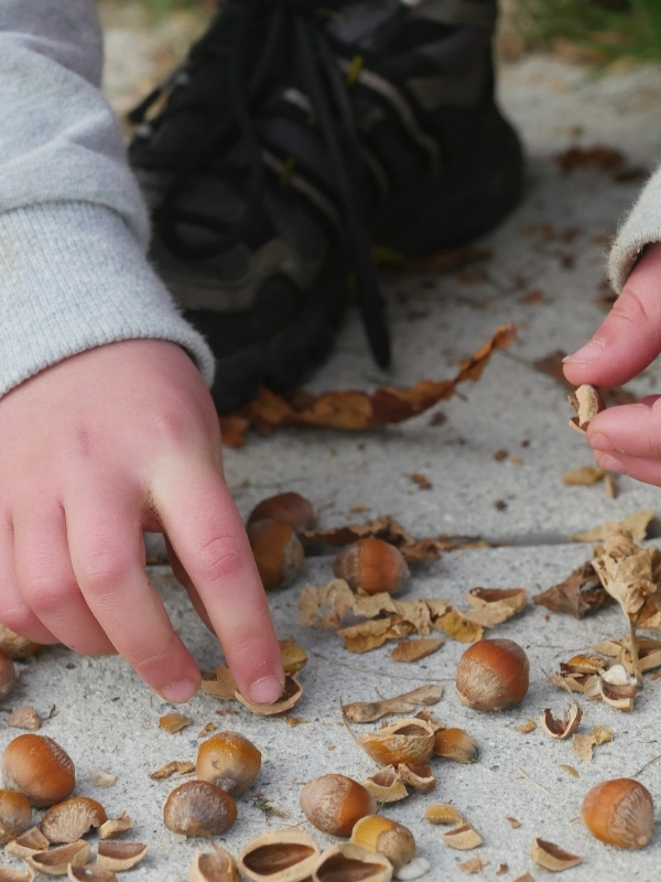 Herfst zintuigenspel Proeven