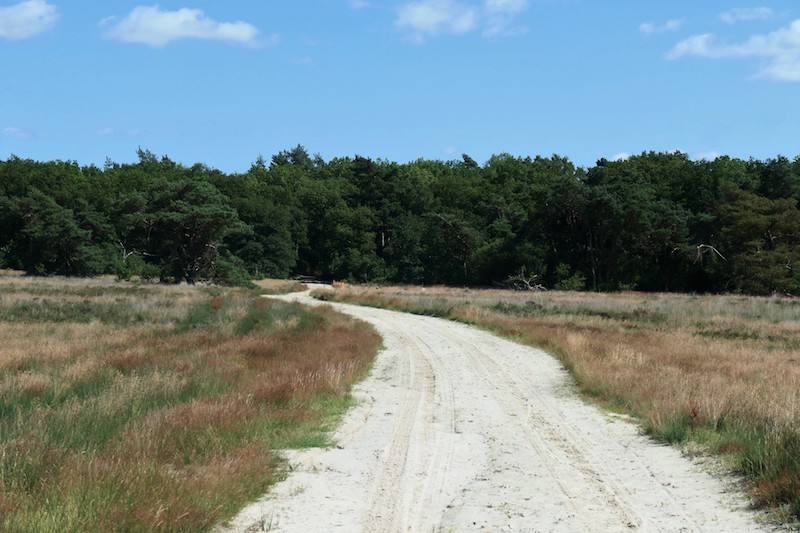 Holtingerveld