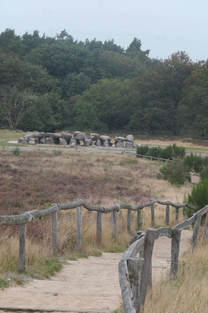 Holtingerveld Uitzicht op hunebed