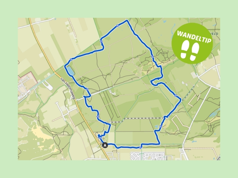 Wandeltip van Jolanda Holtingerveld