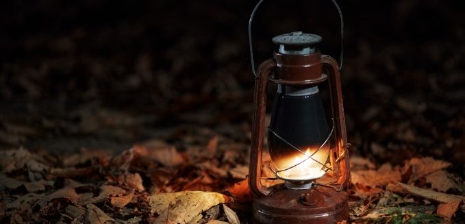 Bloemerij Havelte foto Inge Dijkinga