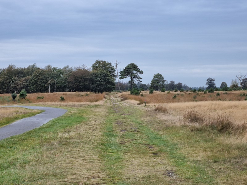 Graspad naast fietspad Aekingerzand