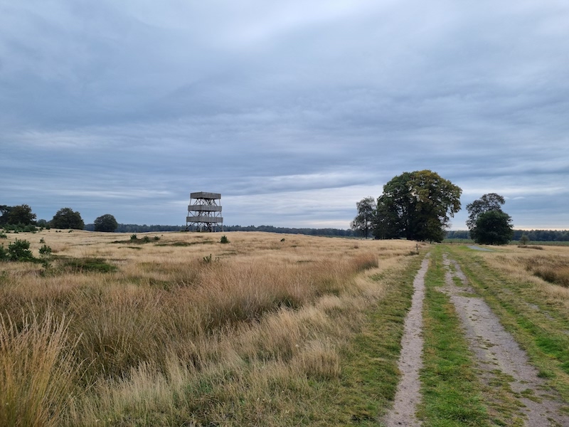 Uitkijktoren Aekeringzand