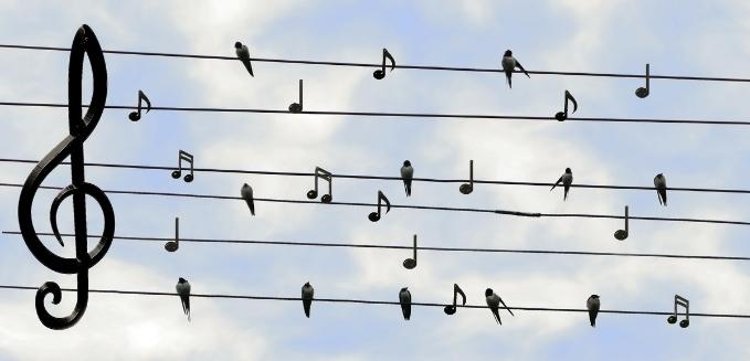 muziek muziek