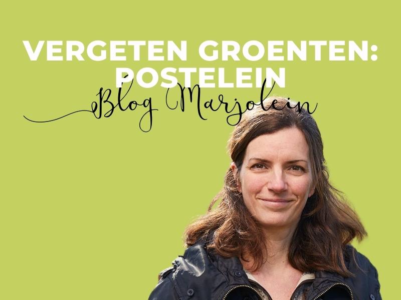 Blog Marjolein Postelein
