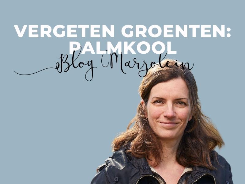 Blog Marjolein Palmkool