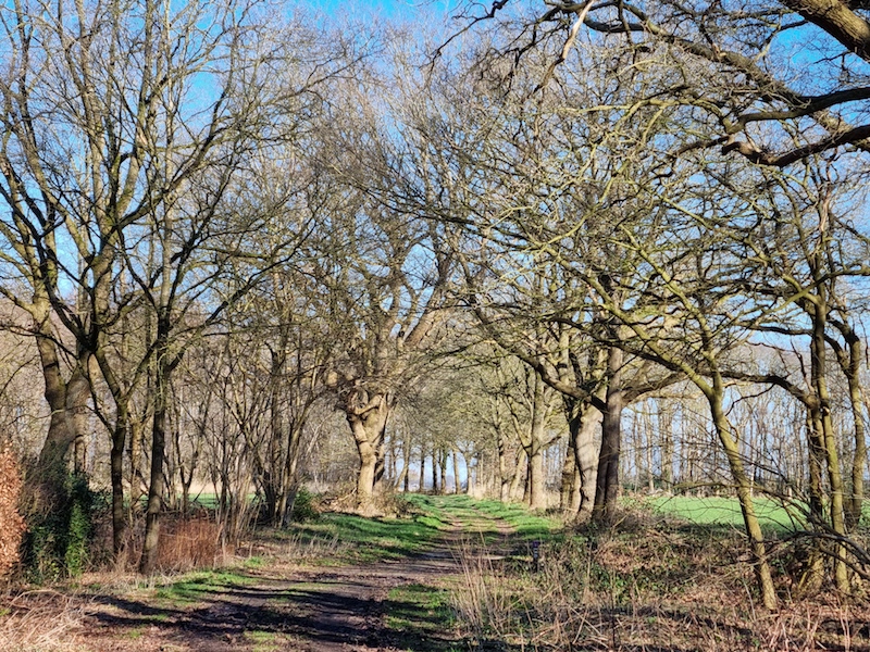 Wandeling Rheebruggen