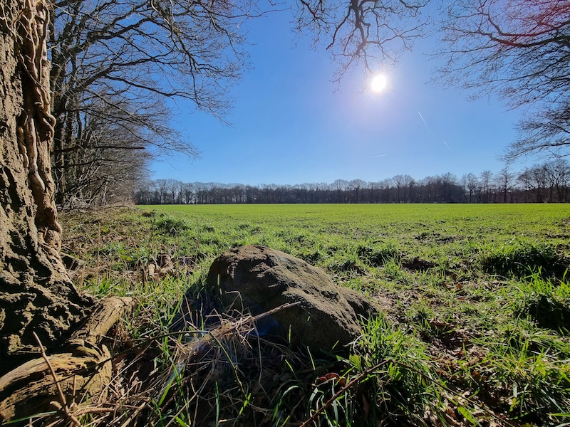 Wandeling Rheebruggen