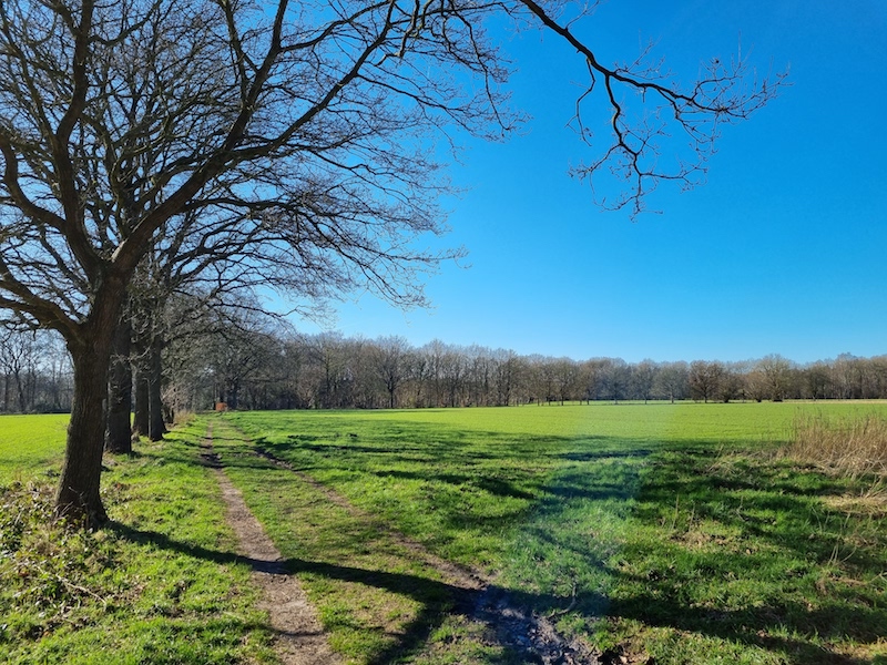 Wandeling Rheebruggen