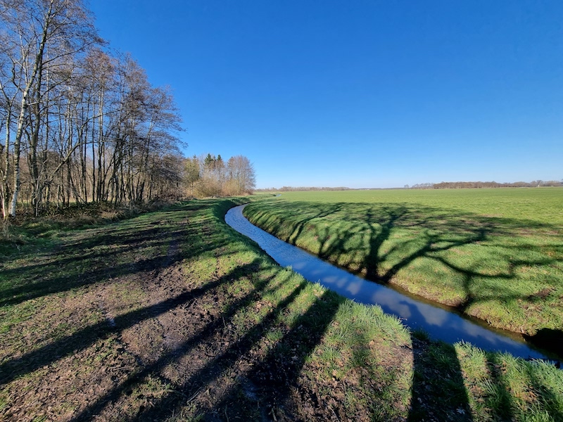 Wandeling Rheebruggen