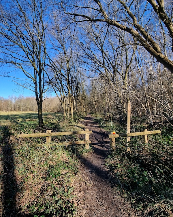 Wandeling Rheebruggen