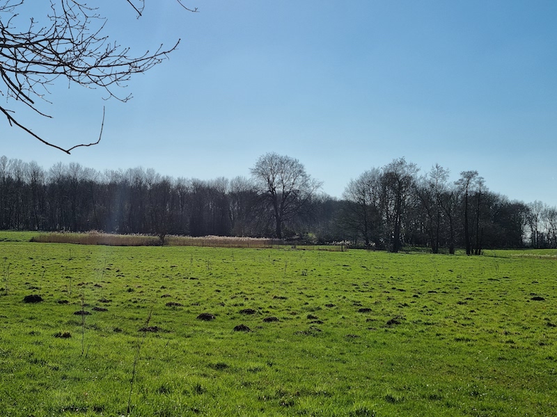 Borgbarchien Wandeling Rheebruggen