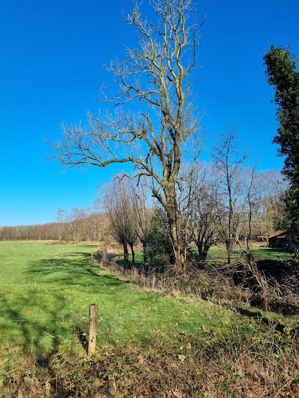 Scheidgruppe Wandeling Rheebruggen