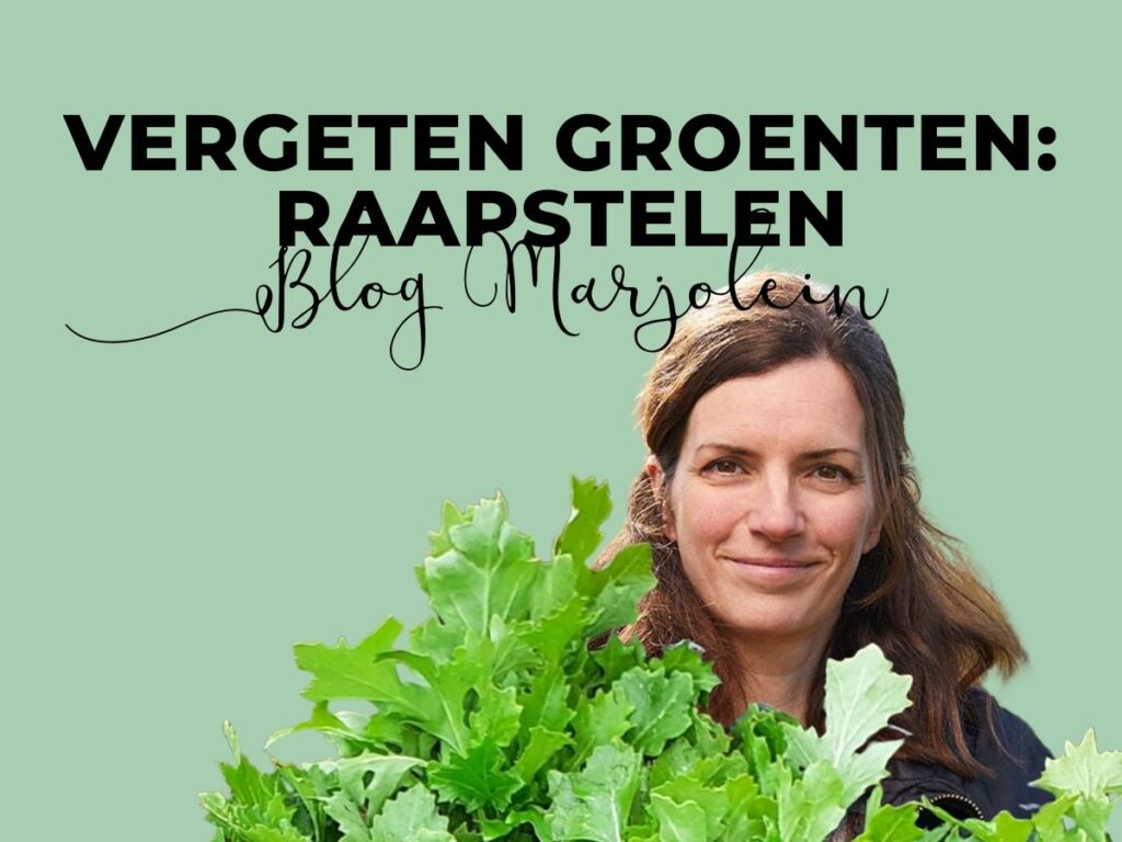 Blog Marjolein Raapstelen