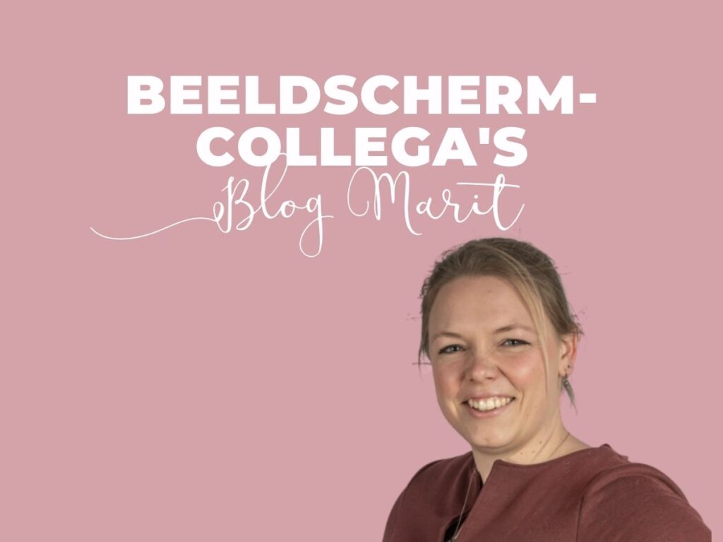 Beeldschermcollega's