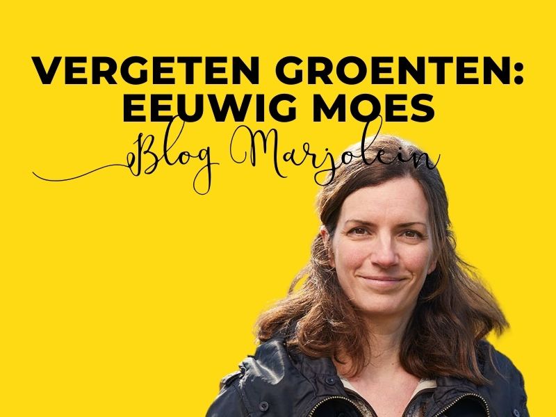eeuwig moes