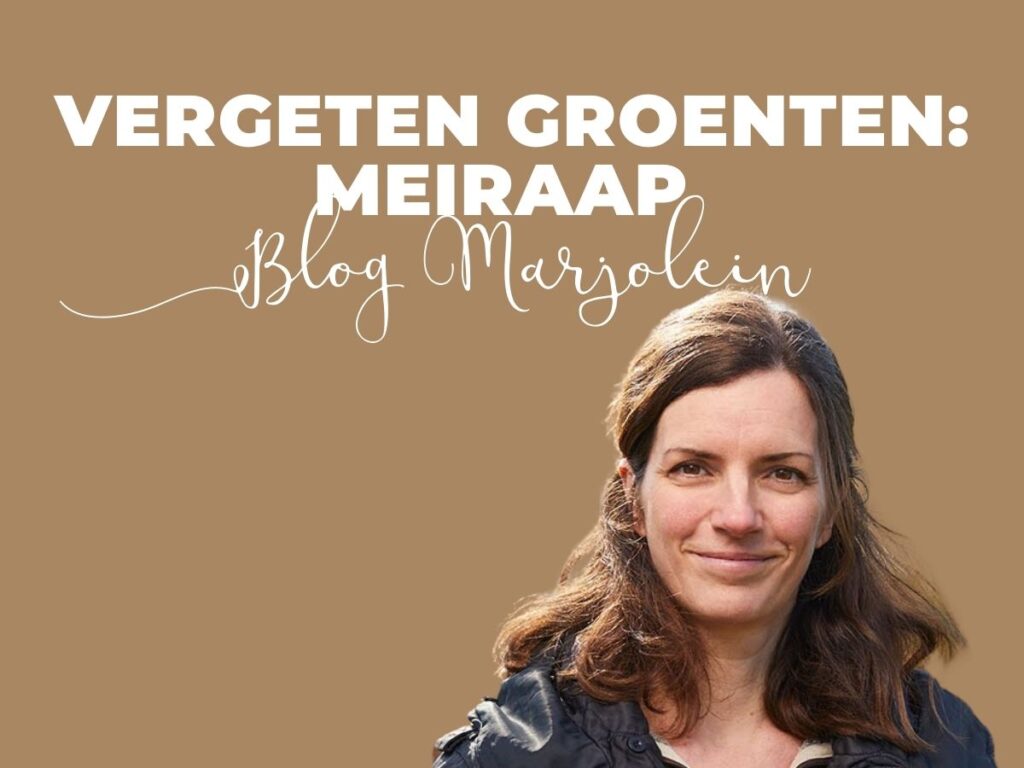 Vergeten groenten: Meiraap