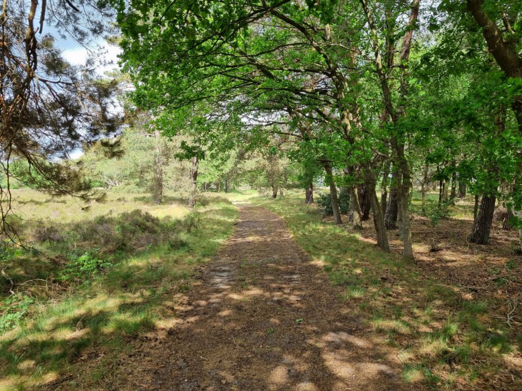 Op weg naar het Leggelderveld