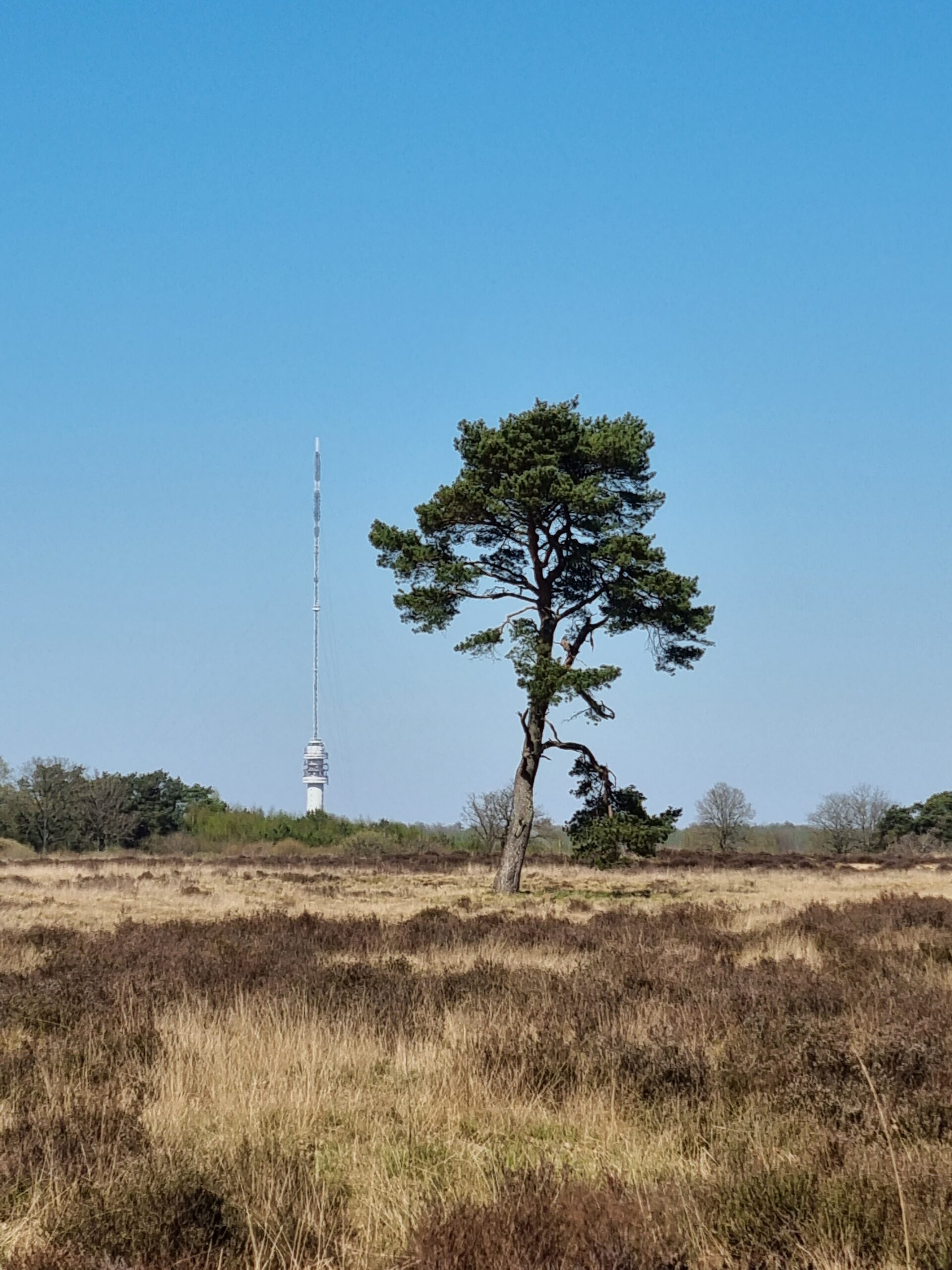 Uitzicht op televisietoren