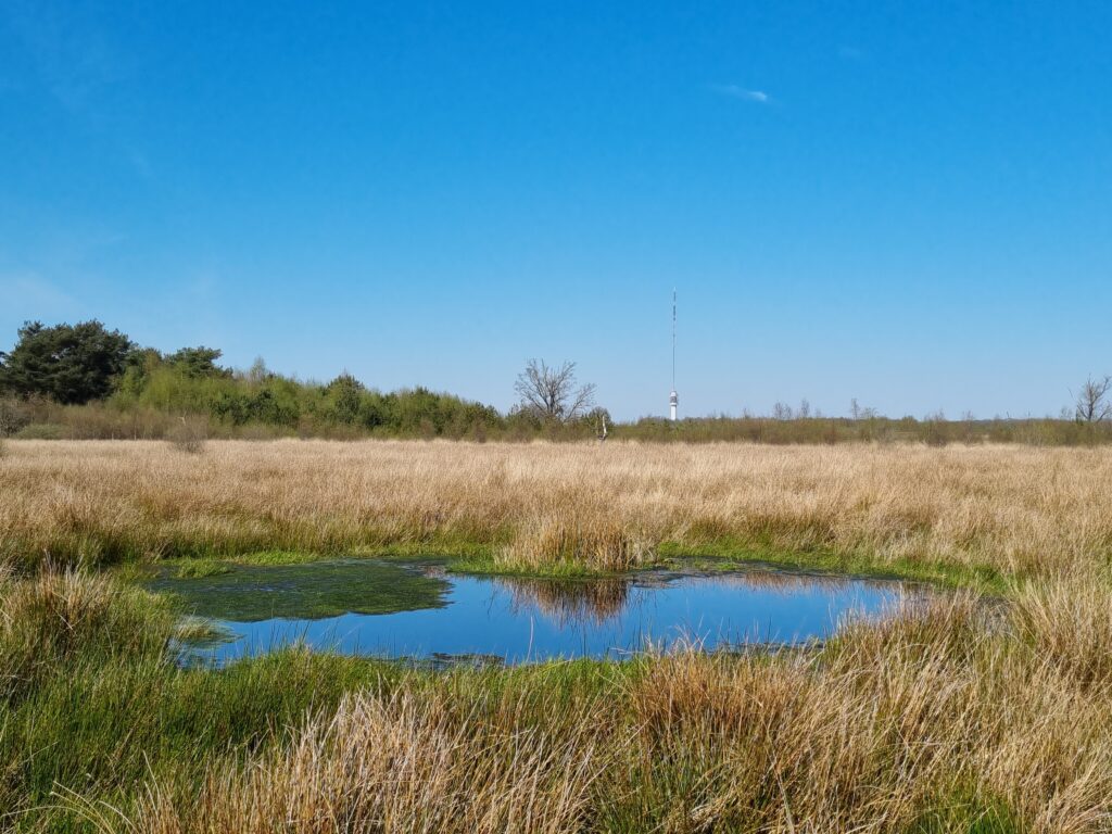 Ven Leggelderveld met uitzicht op de televisietoren