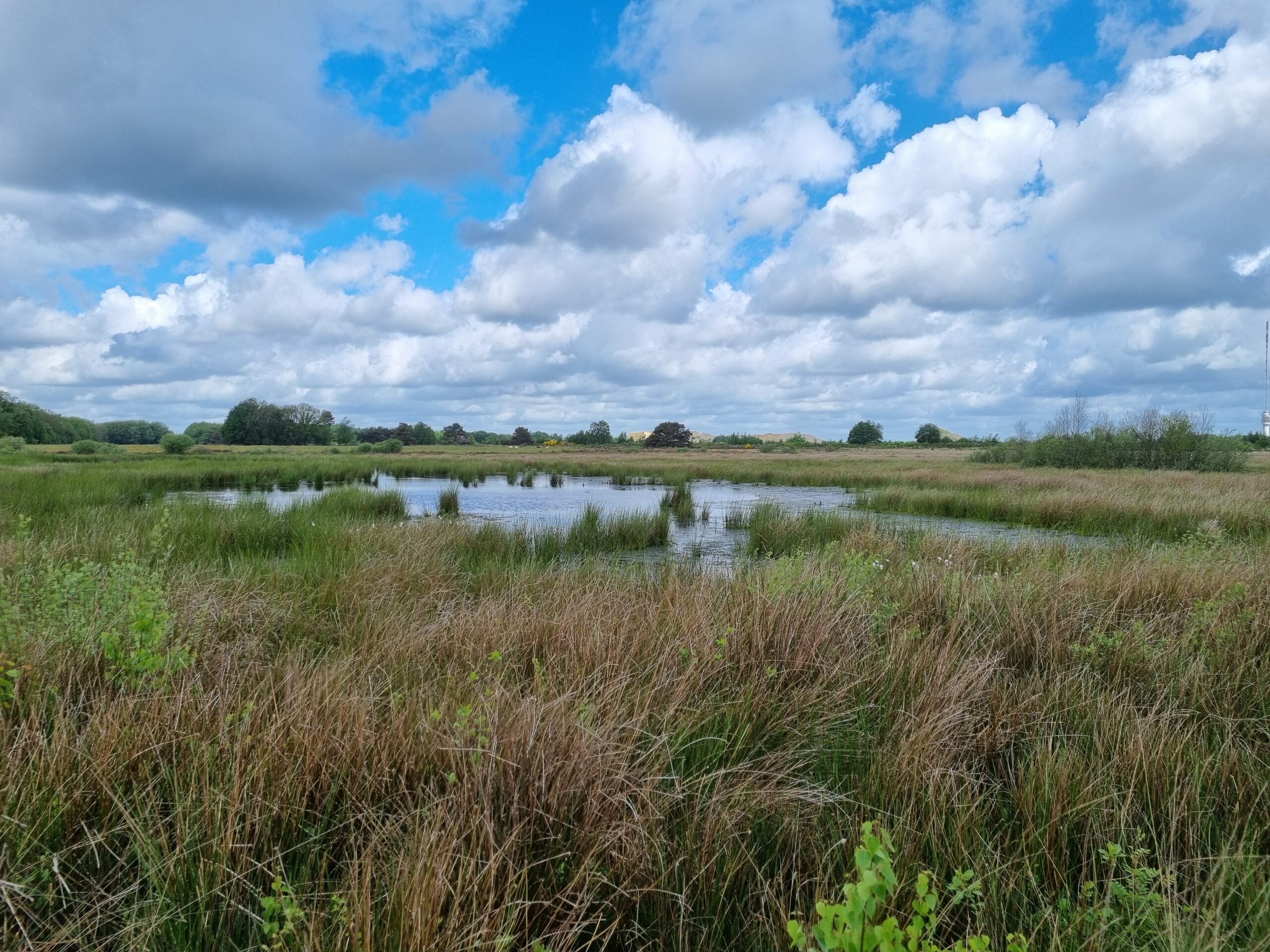 Ven Leggelderveld met uitzicht op de zandafgraving