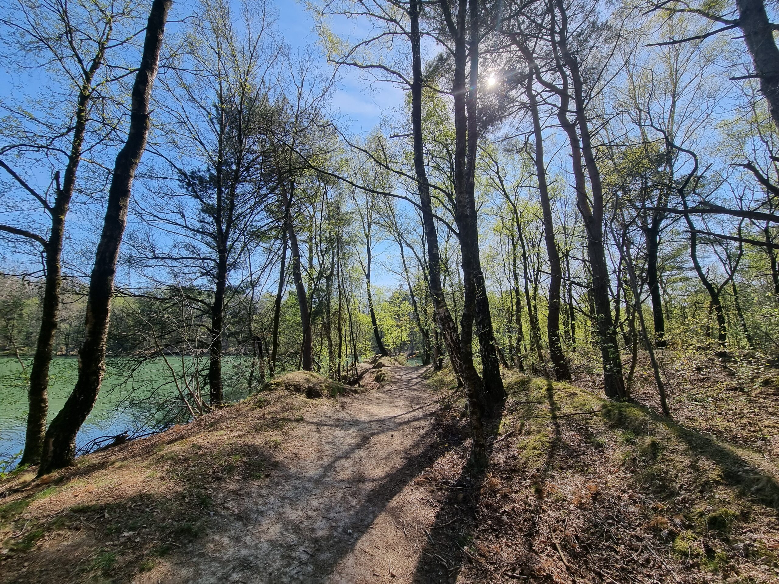 Wandelpaadje langs het Blauwe Meer