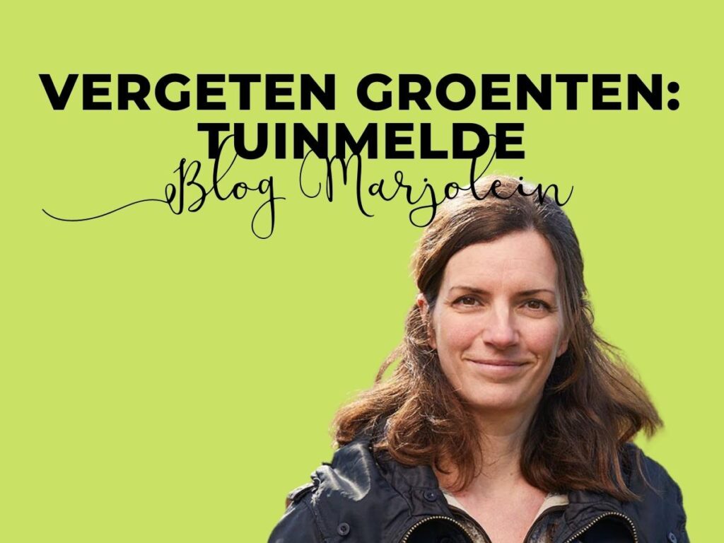 Vergeten groente tuinmelde