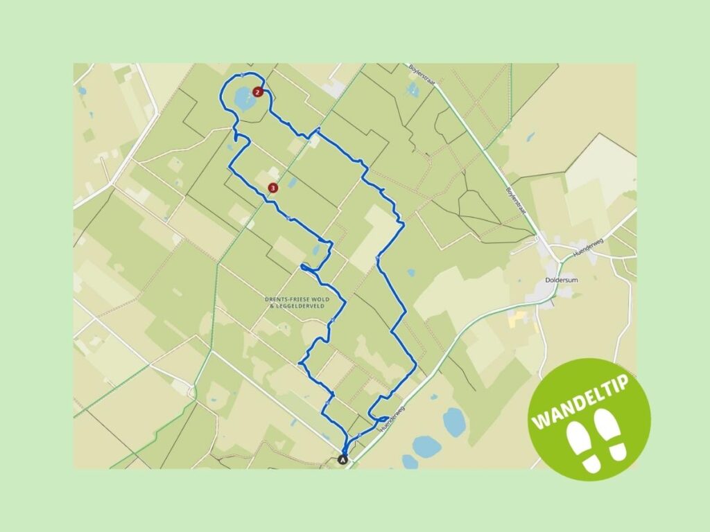 Wandeltip van Jolanda Zuiderbos en Boschoord wandeling