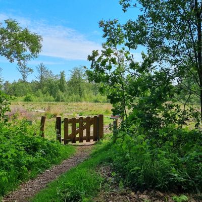 tart wandeling zuiderbos