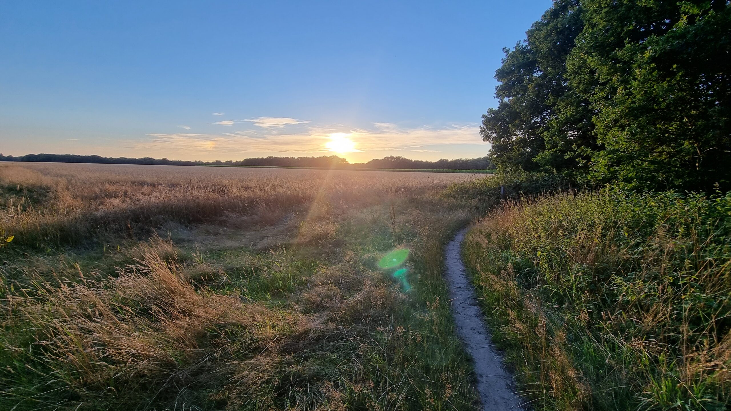 Uitzicht over Dwingelderveld